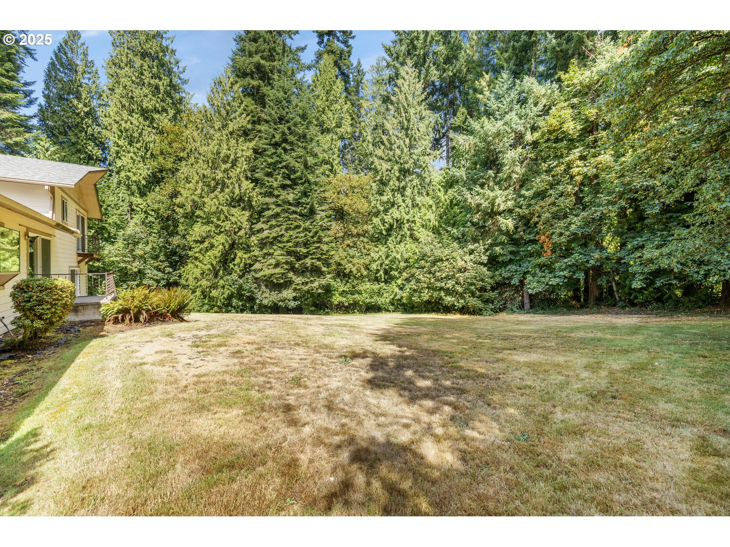 3208 Northwest 199th Street Ridgefield, WA 98642 - Photo 43 of 48 a view of a yard with a tree