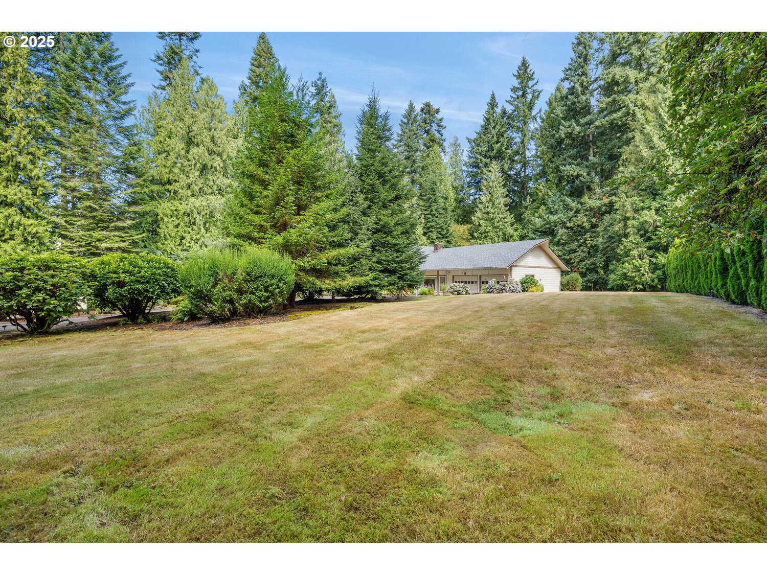 3208 Northwest 199th Street Ridgefield, WA 98642 - Photo 45 of 48 a view of a yard with an outdoor space