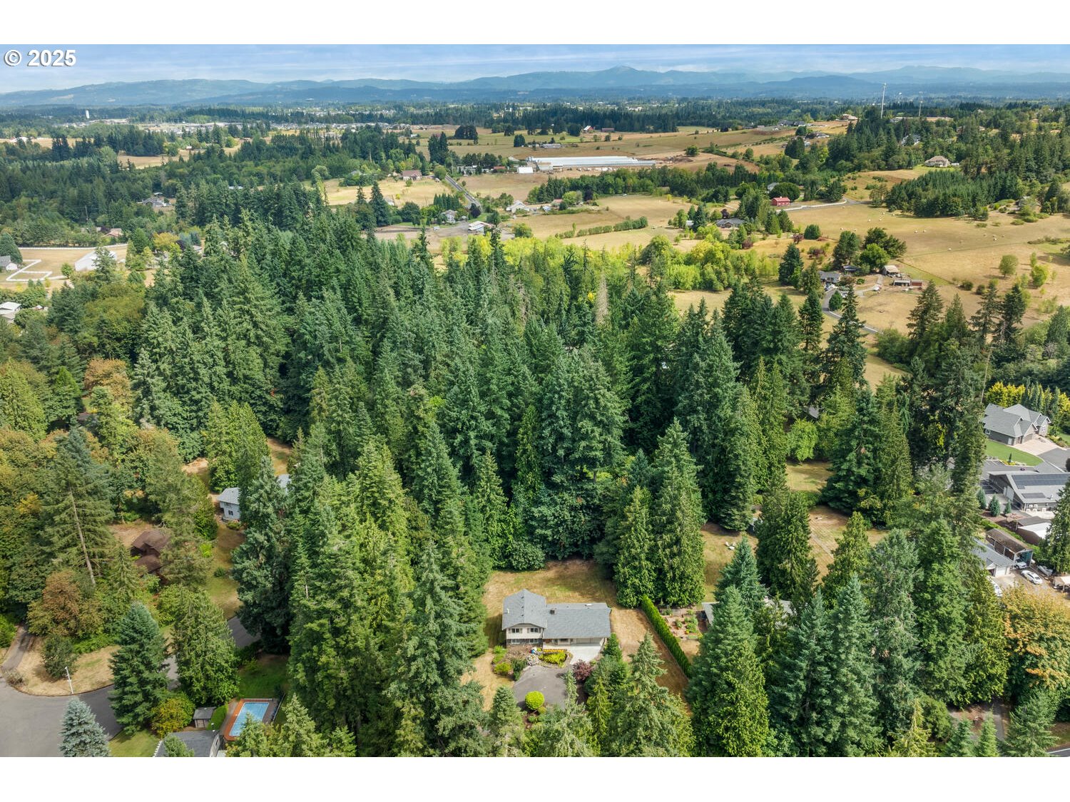 3208 Northwest 199th Street Ridgefield, WA 98642 - Photo 48 of 48 a view of a lush green field with lots of tall buildings