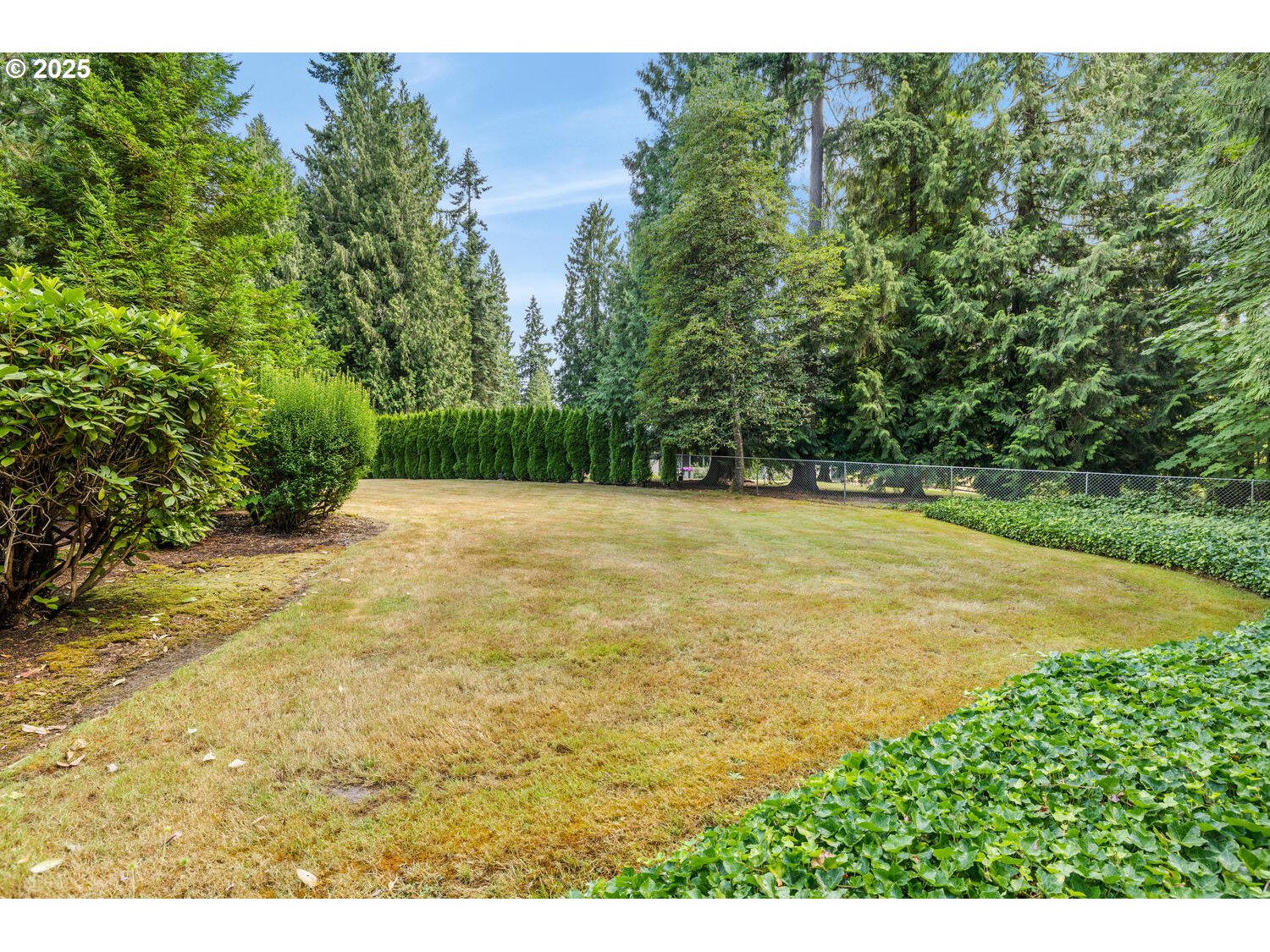 3208 Northwest 199th Street Ridgefield, WA 98642 - Photo 5 of 48 a view of a yard with an outdoor space