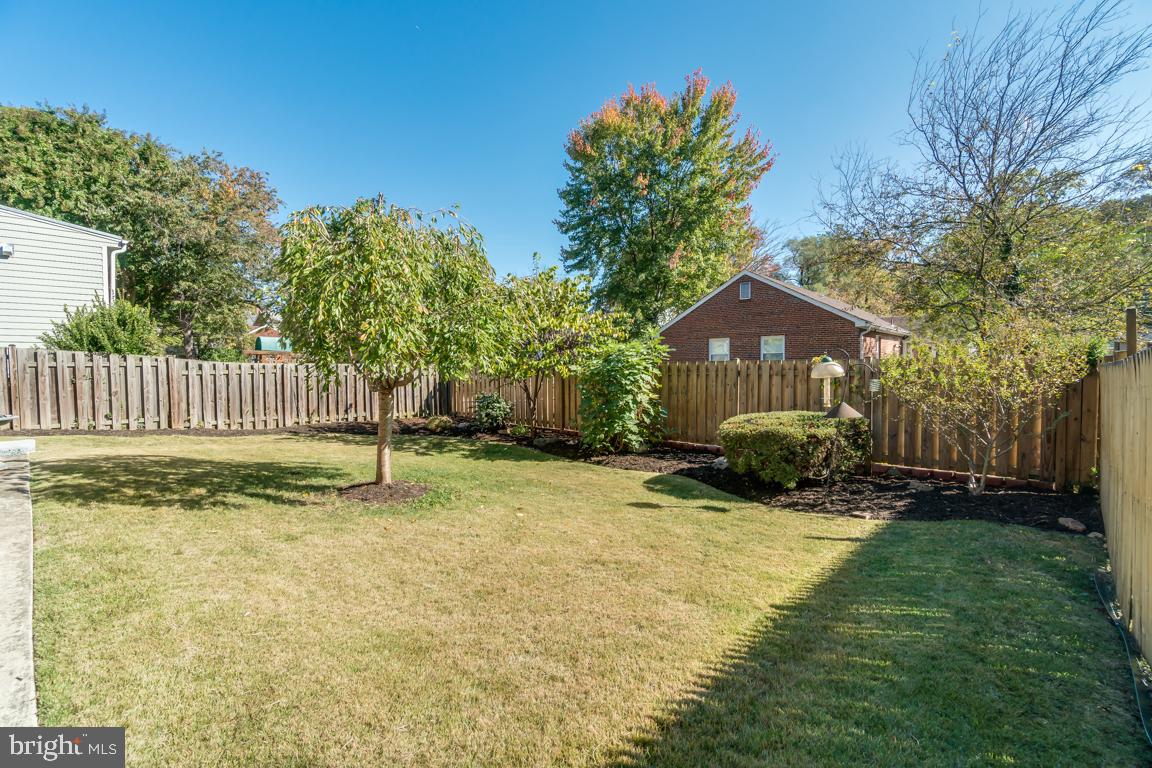 10113 Greenock Road Silver Spring, MD 20901 - Photo 28 of 29