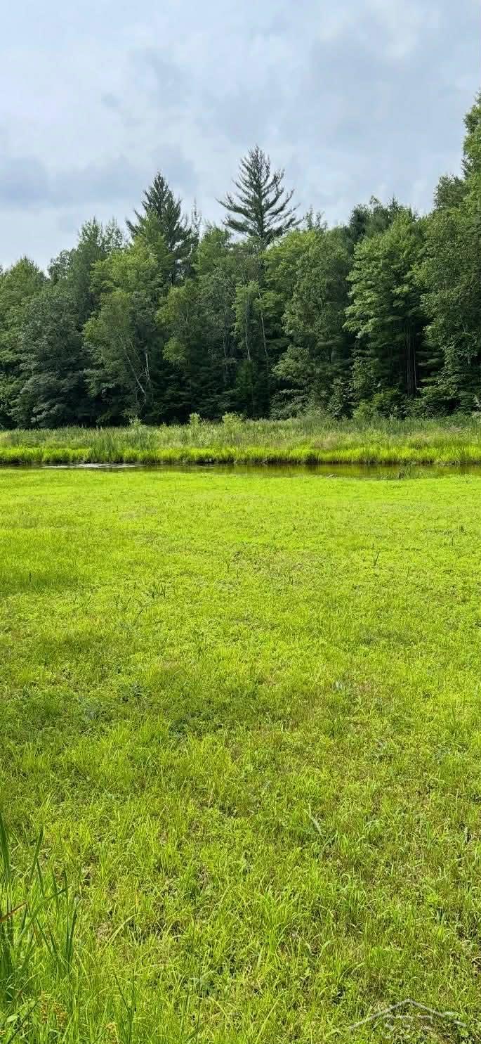 2823 River Ridge Road Alger, MI 48610 - Photo 14 of 30