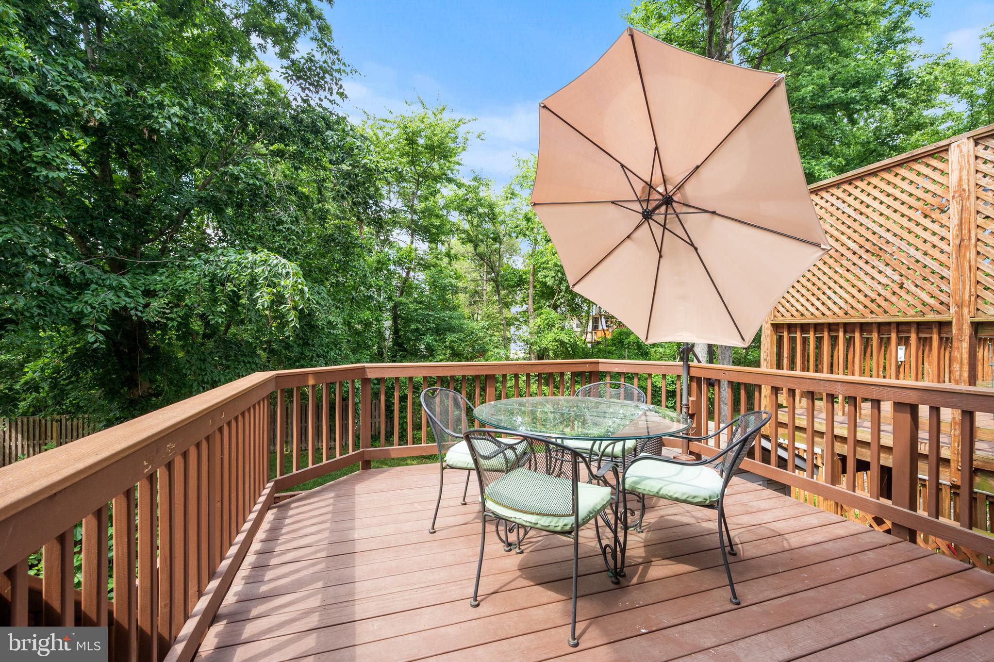 14676 Basingstoke Loop Centreville, VA 20120 - Photo 14 of 39 DECK 1