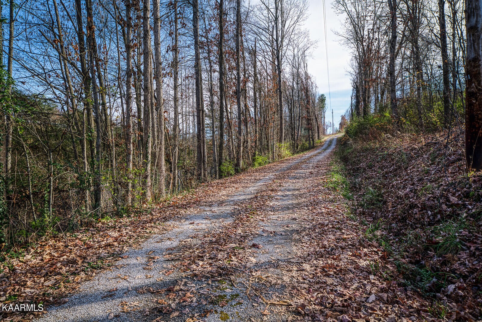199 Hickory Mill Road Jamestown, TN 38556 - Photo 10 of 38 Gallery Image 10