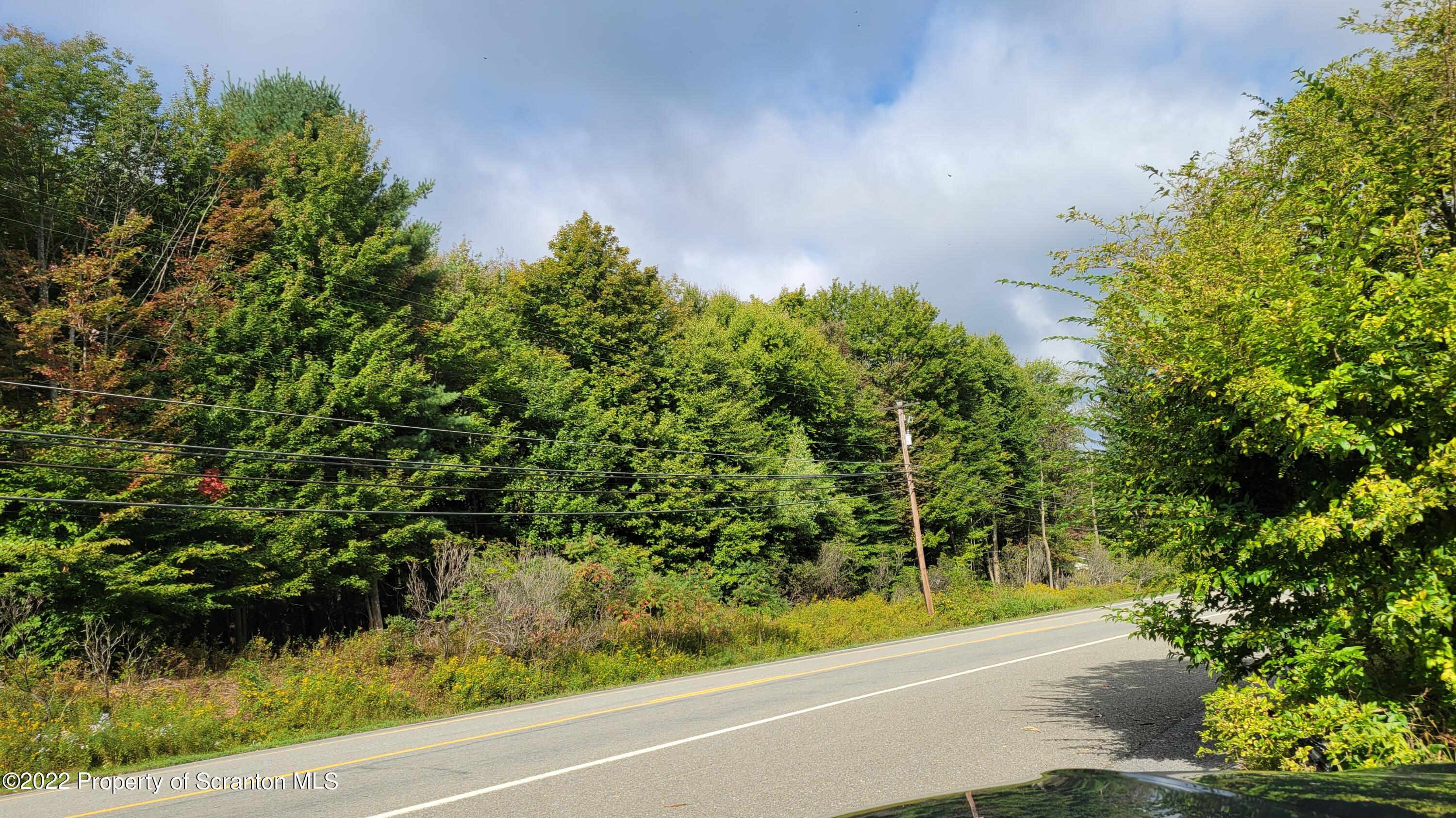 a view of a yard with plants