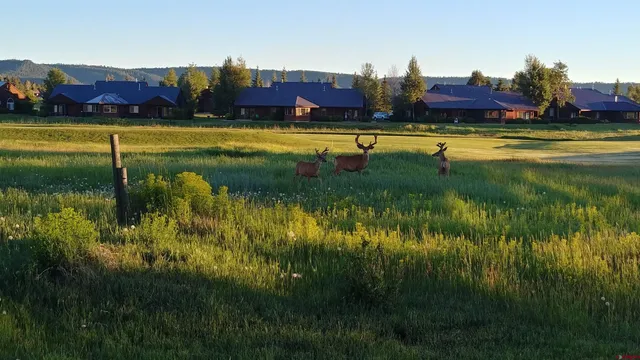 $675,900 | 103 Divot Place, Pagosa Springs, CO 81147