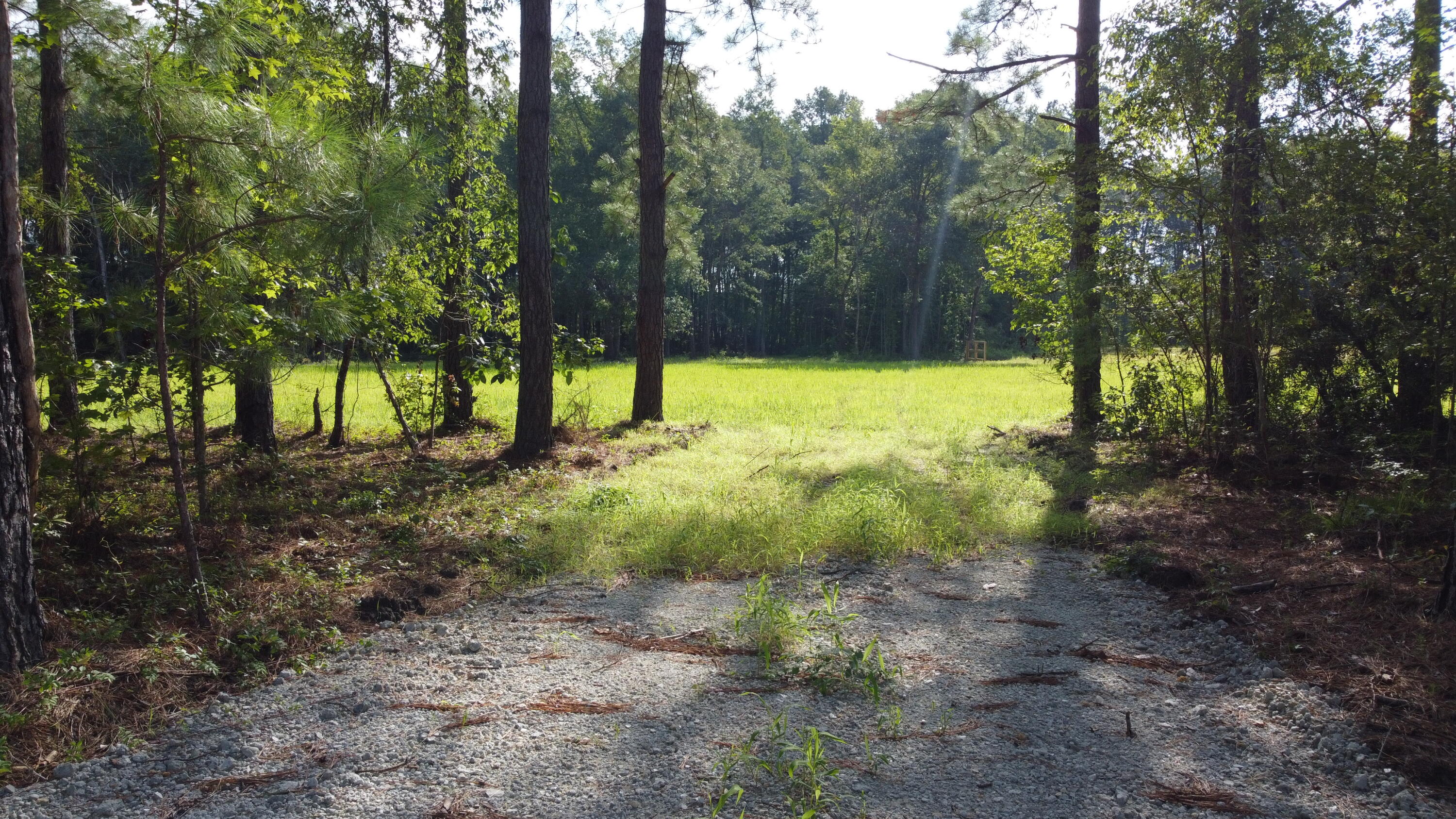 4 Grooms Road Cross, SC 29436 - Photo 15 of 25 DJI_0075