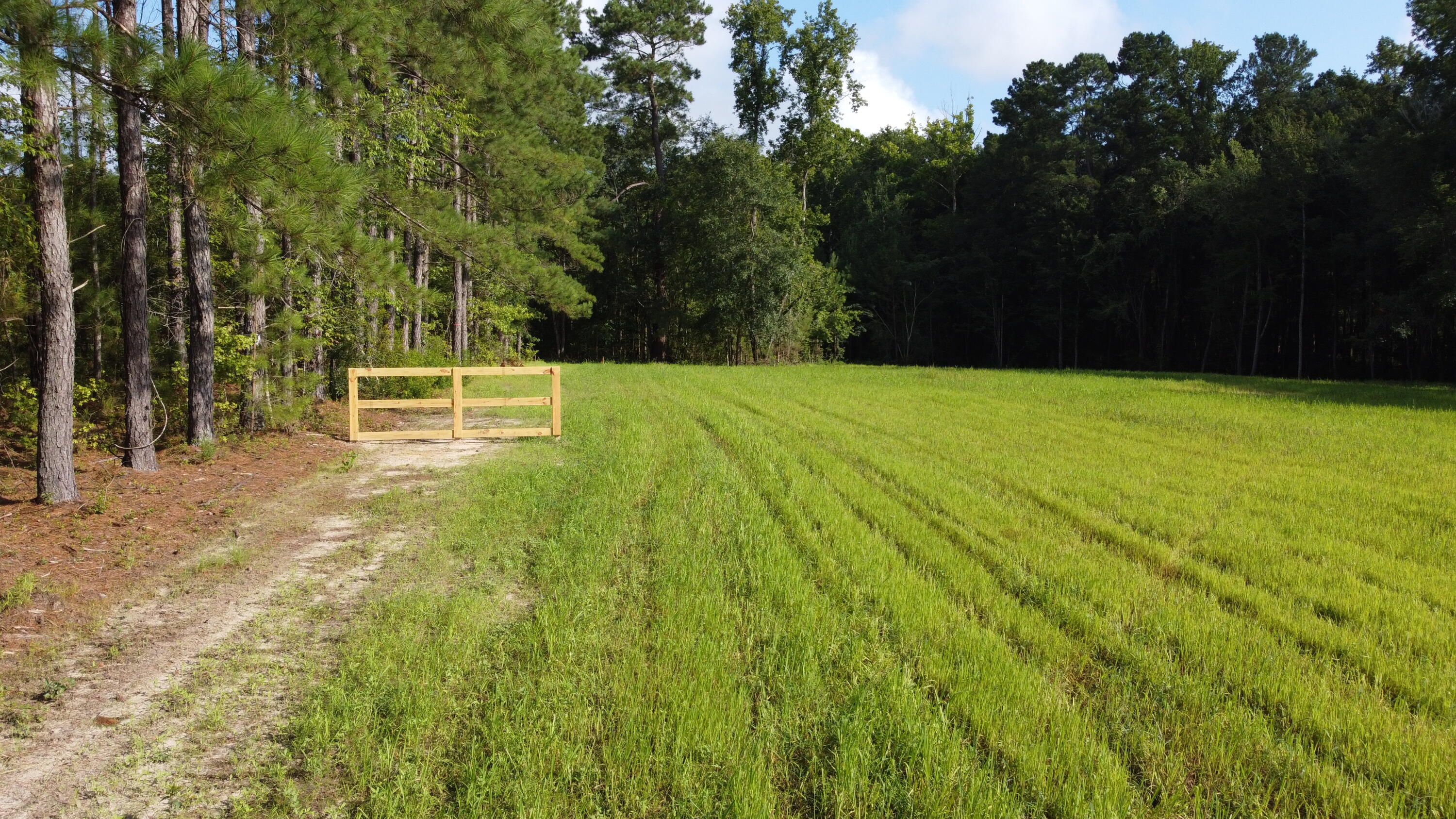 4 Grooms Road Cross, SC 29436 - Photo 16 of 25 DJI_0077