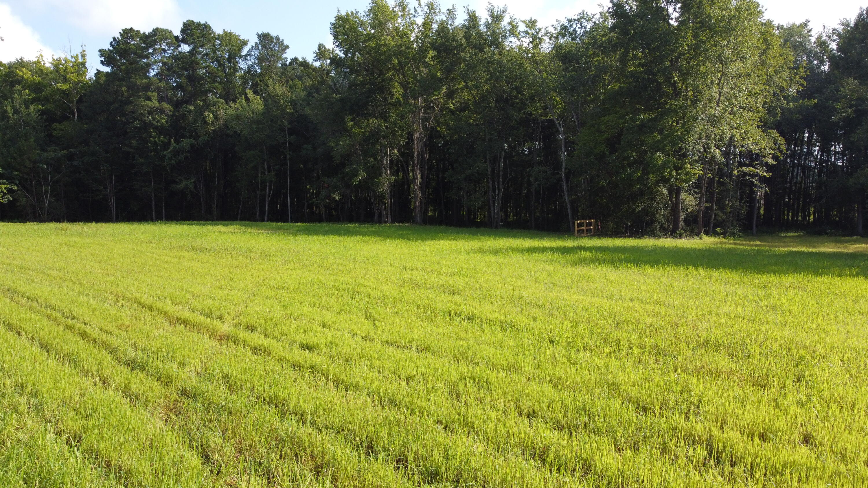 4 Grooms Road Cross, SC 29436 - Photo 17 of 25 DJI_0078