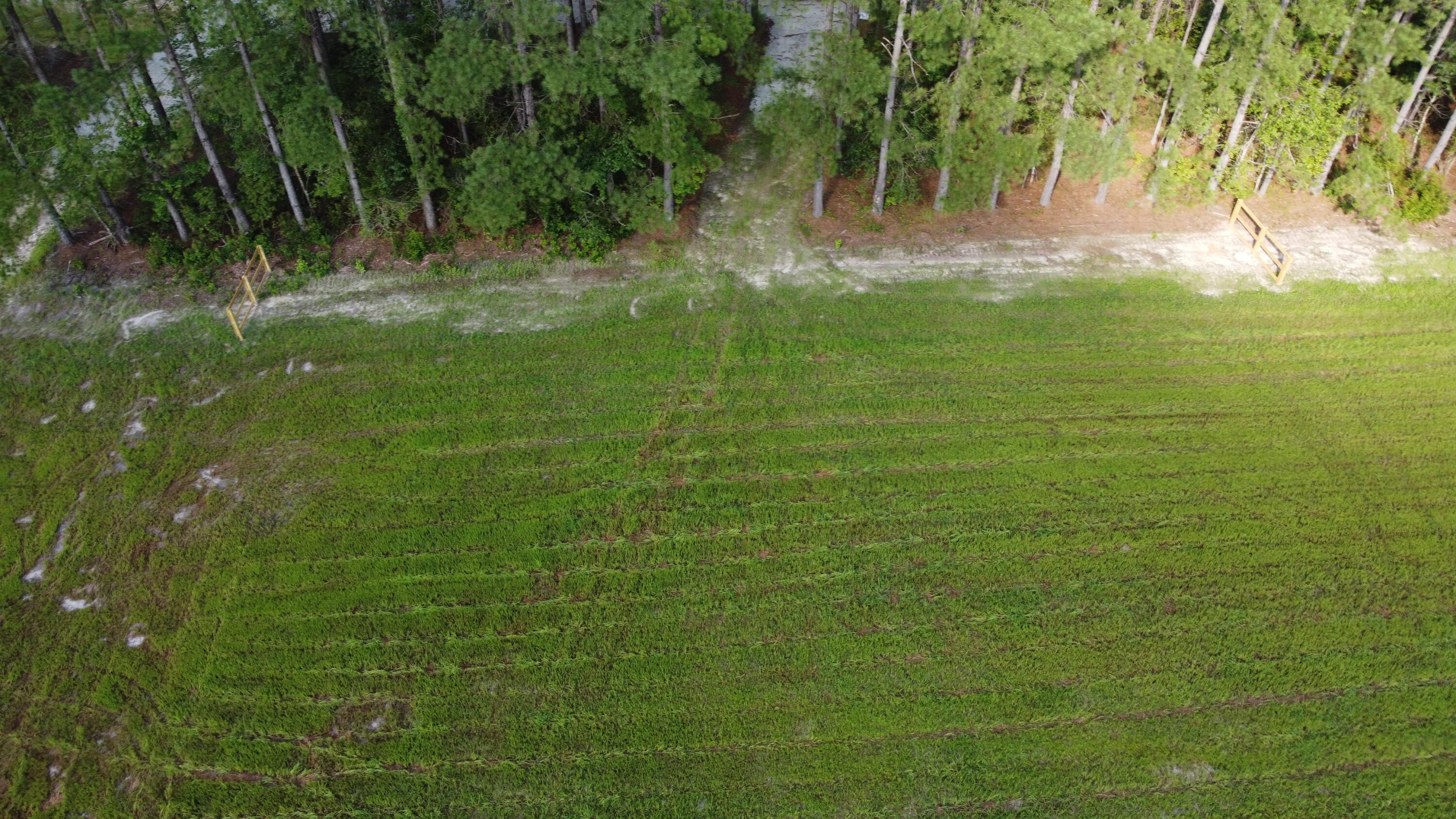 4 Grooms Road Cross, SC 29436 - Photo 20 of 25 DJI_0082