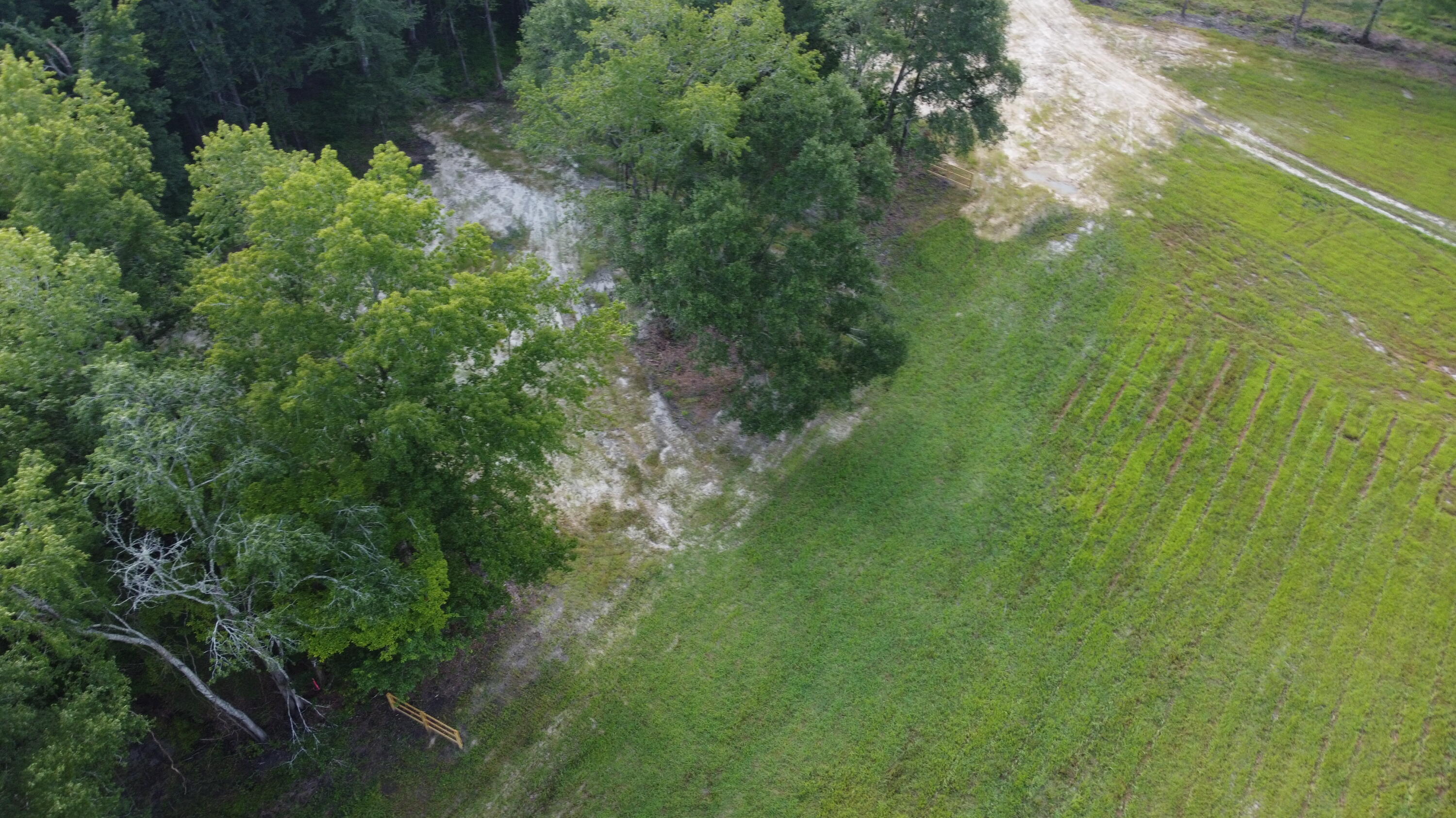 4 Grooms Road Cross, SC 29436 - Photo 21 of 25 DJI_0083