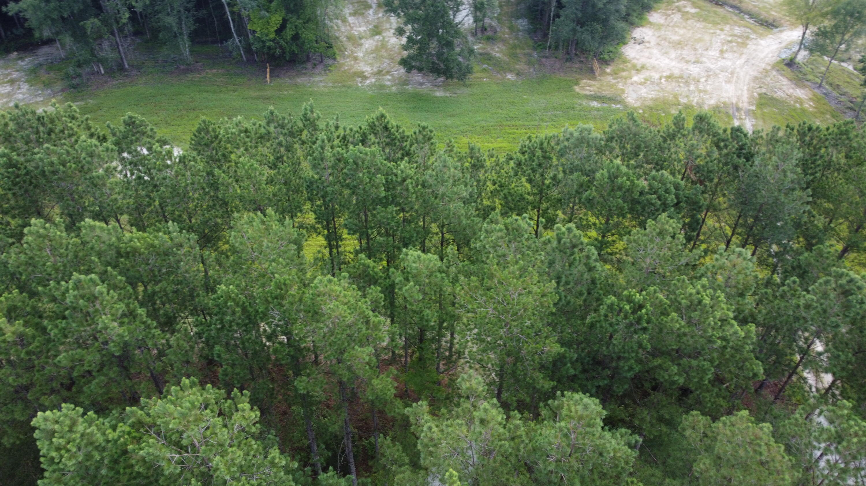 4 Grooms Road Cross, SC 29436 - Photo 24 of 25 DJI_0087