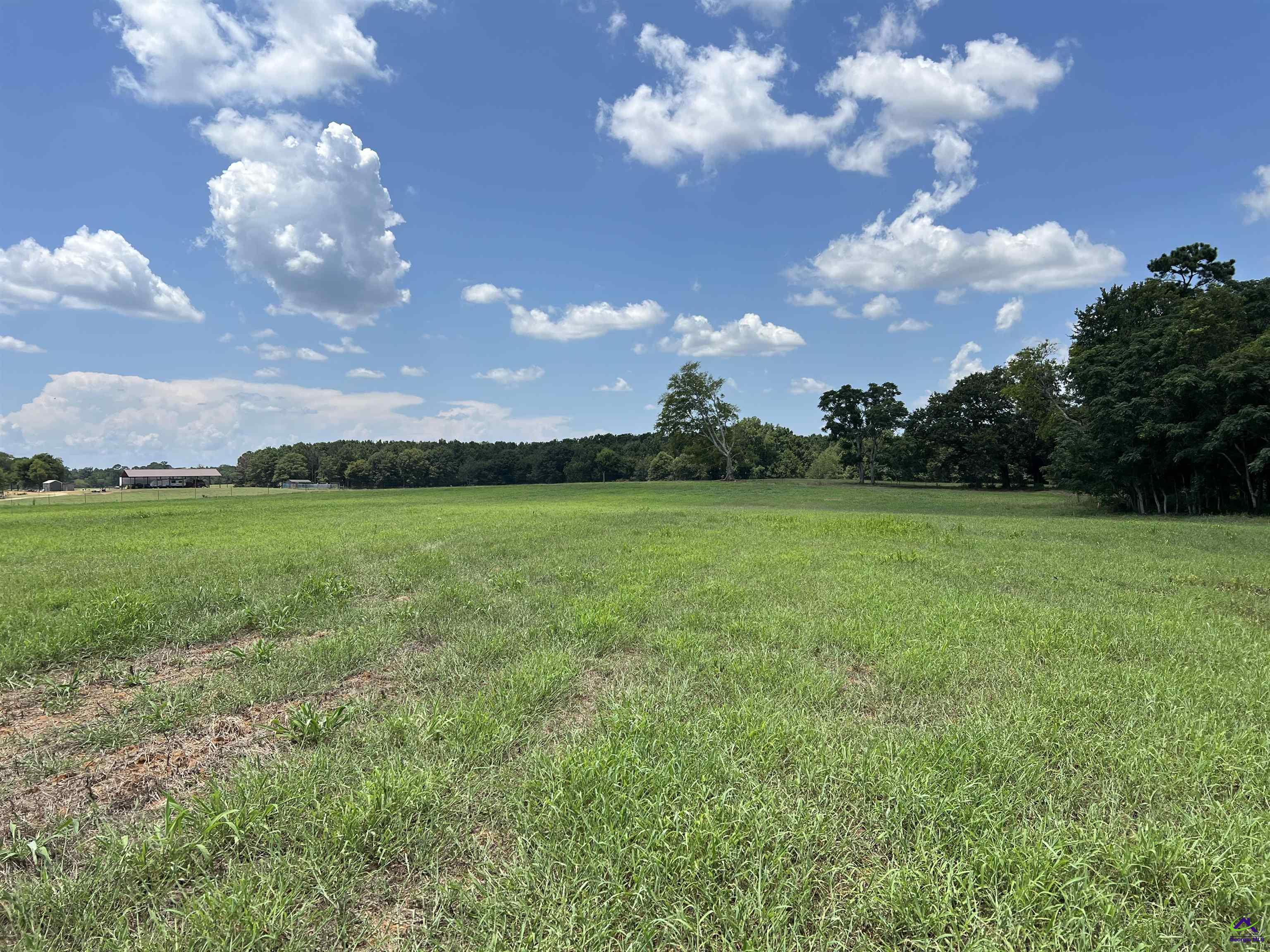 Gilbert Road Elko, GA 31025 - Photo 4 of 7