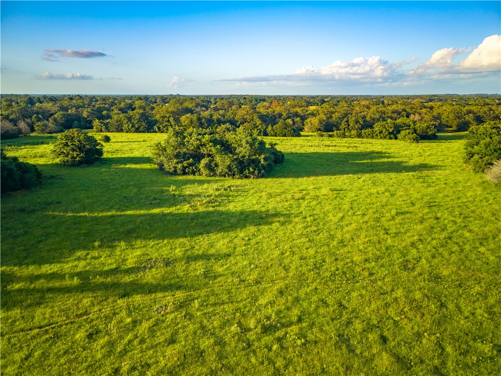10102 Ferrill Creek Road Bryan, TX 77808 - Photo 25 of 29
