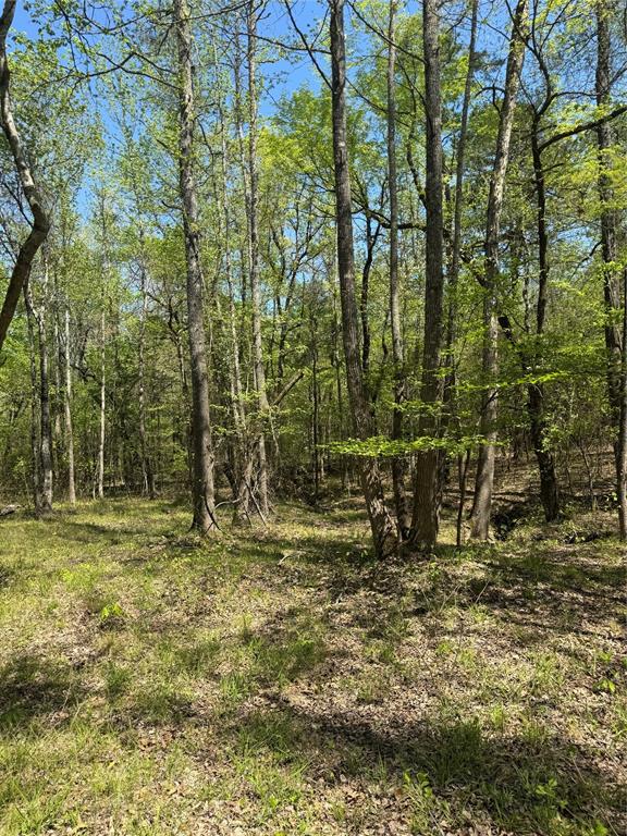 0 Tucker Road Fort Towson, OK 74735 - Photo 11 of 32 a view of outdoor space with trees