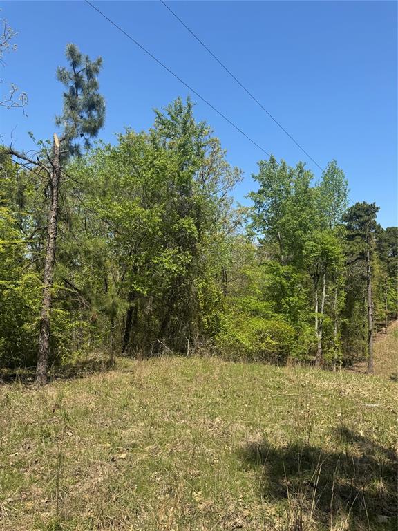 0 Tucker Road Fort Towson, OK 74735 - Photo 12 of 32 a view of a yard