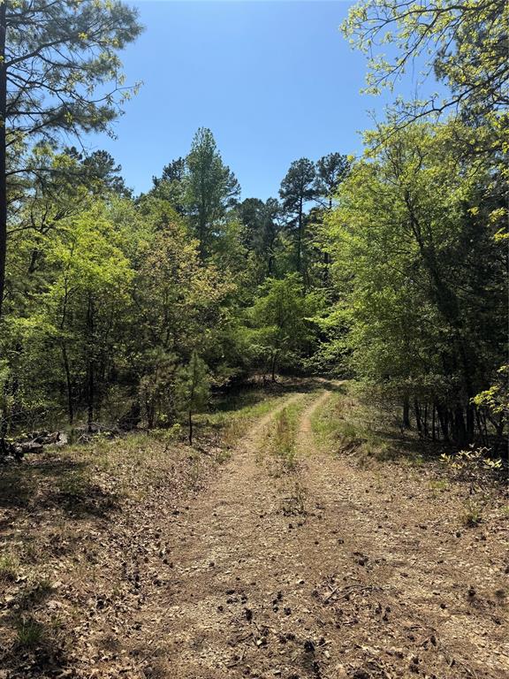 0 Tucker Road Fort Towson, OK 74735 - Photo 13 of 32