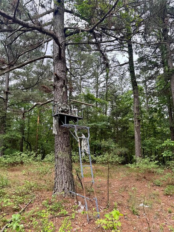 0 Tucker Road Fort Towson, OK 74735 - Photo 16 of 32 a view of a backyard