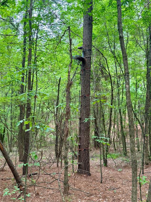 0 Tucker Road Fort Towson, OK 74735 - Photo 17 of 32 a view of outdoor space and garden view