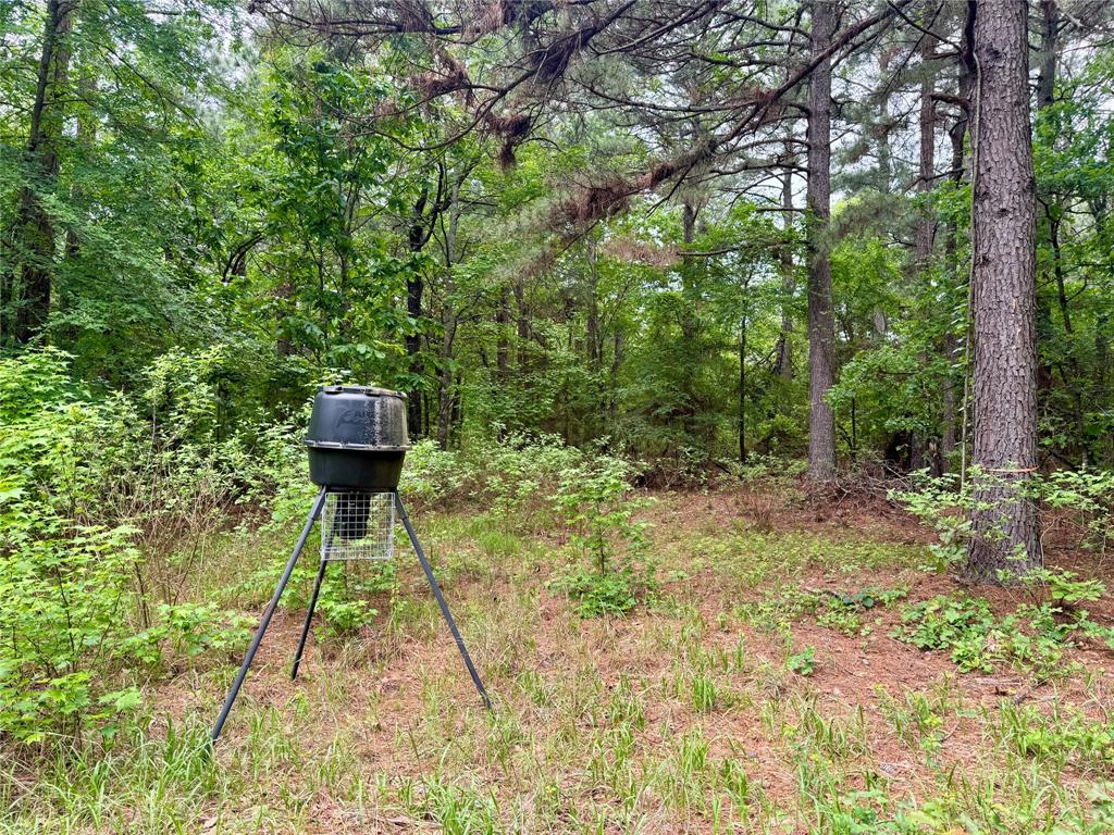 0 Tucker Road Fort Towson, OK 74735 - Photo 20 of 32 a view of outdoor space with a garden