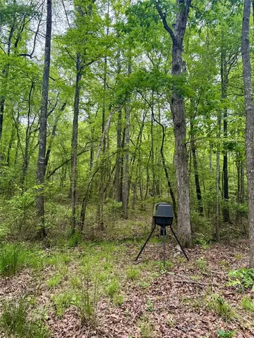 a view of outdoor space