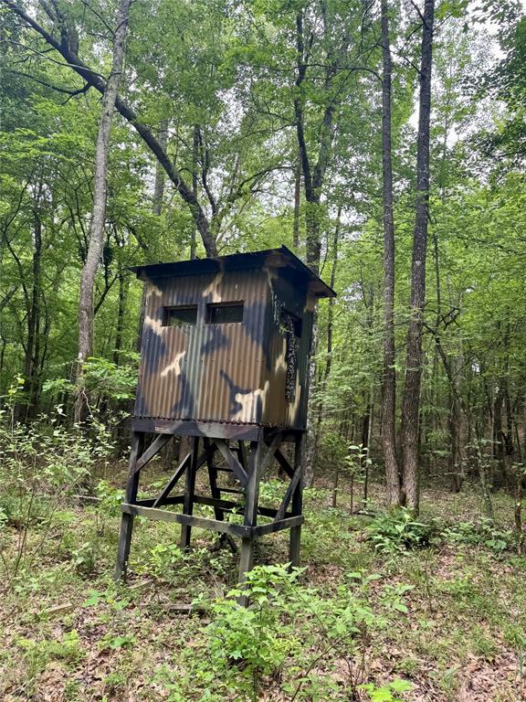 0 Tucker Road Fort Towson, OK 74735 - Photo 22 of 32 a small garden covered with tall trees