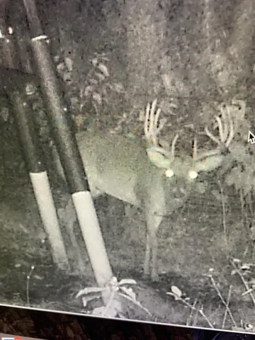 a backyard of a house with lots of green space and a fountain