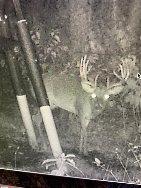 0 Tucker Road Fort Towson, OK 74735 - Photo 23 of 32 a view of outdoor space