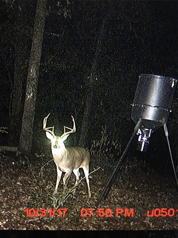 0 Tucker Road Fort Towson, OK 74735 - Photo 25 of 32 a backyard of a house with lots of green space and a fountain