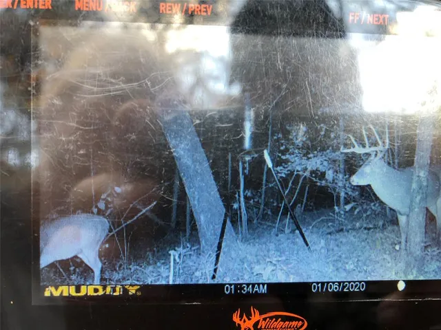 a close view of fireplace