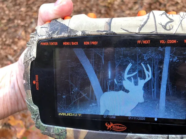 a bird view of a yard