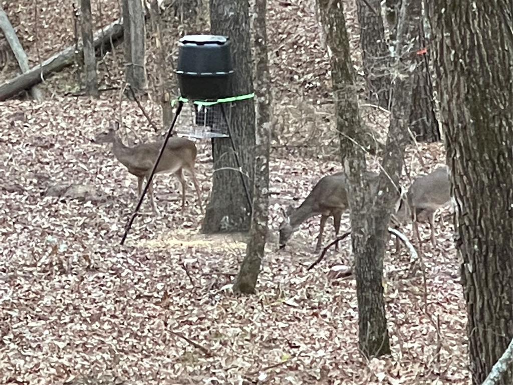 0 Tucker Road Fort Towson, OK 74735 - Photo 30 of 32 a bird view of a yard