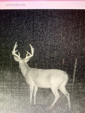 $520,000 | 0 Tucker Road, Fort Towson, OK 74735