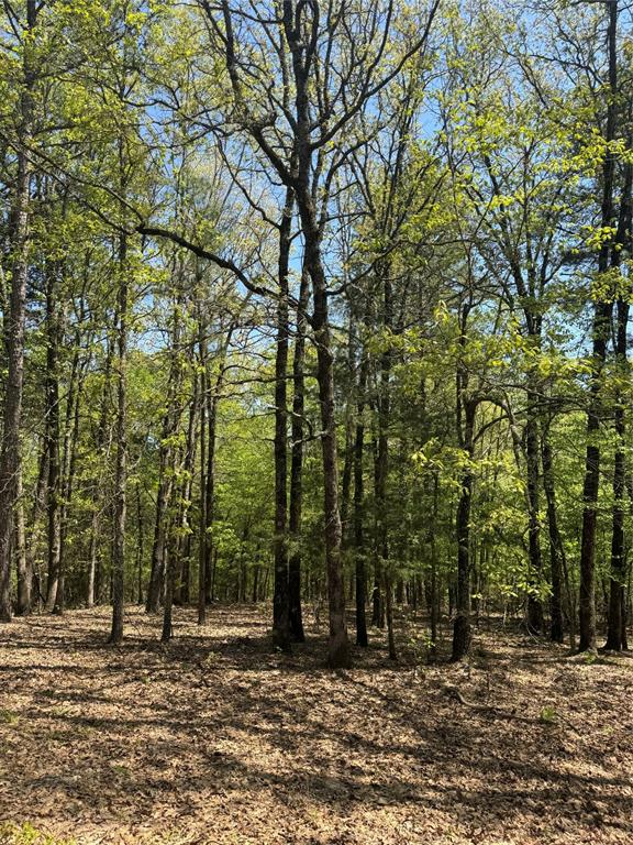 0 Tucker Road Fort Towson, OK 74735 - Photo 9 of 32 a view of outdoor space with trees