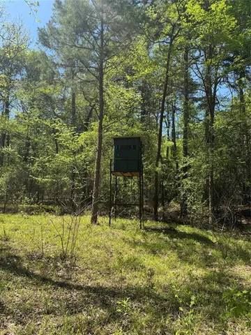 a view of outdoor space with trees