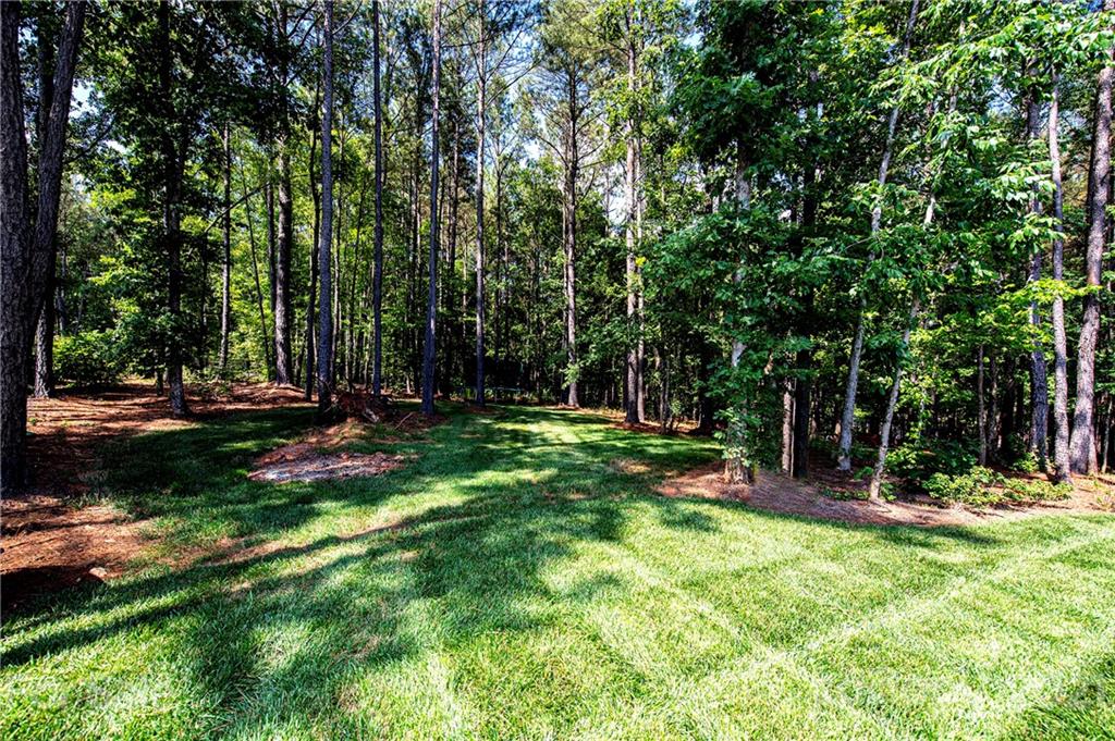 1286 Trinity Ridge Parkway Fort Mill, SC 29715 - Photo 47 of 48 a view of outdoor space with deck and yard