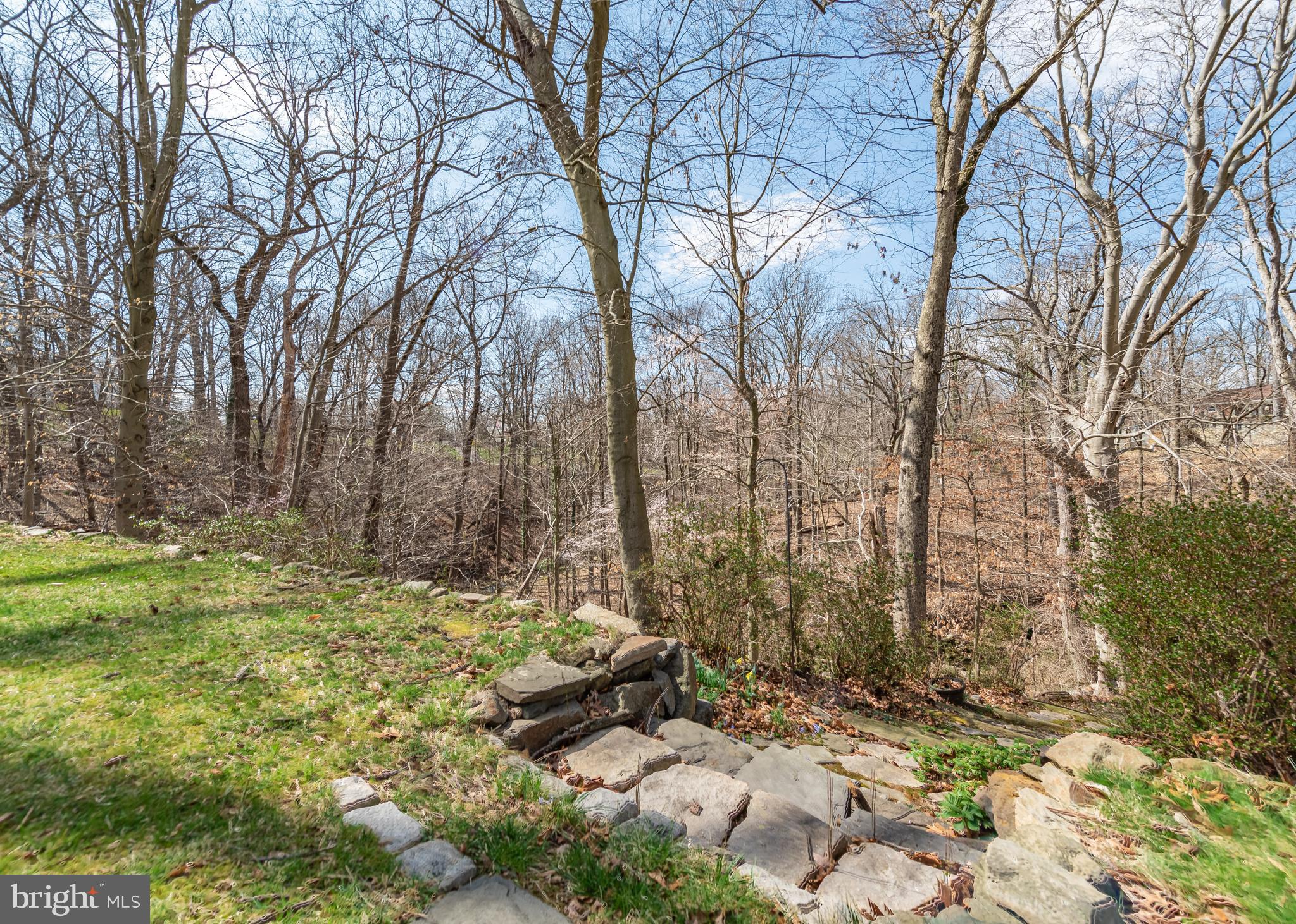 209 Patuxent Road Laurel, MD 20707 - Photo 22 of 26 Backyard overlooking stream