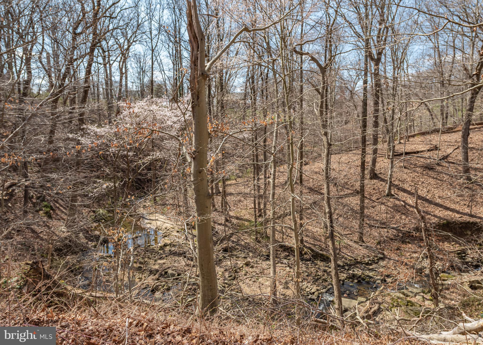 209 Patuxent Road Laurel, MD 20707 - Photo 24 of 26 Private one acre yard with mature trees