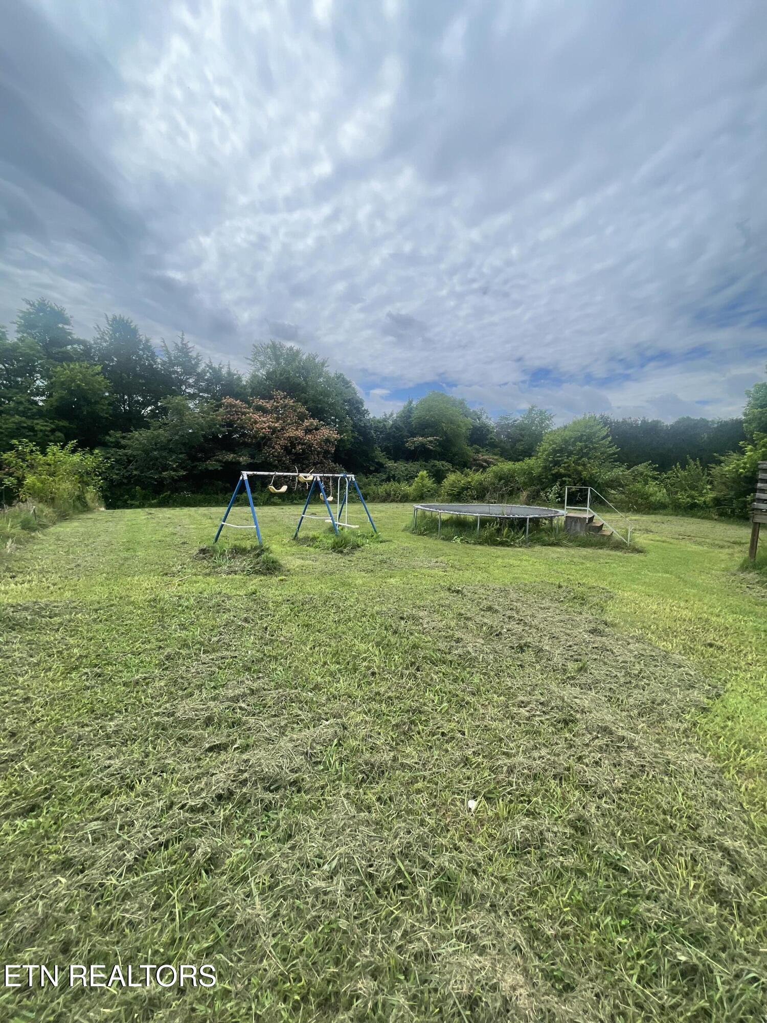 10320 Patsy Cline Way Strawberry Plains, TN 37871 - Photo 17 of 17 IMG_8166