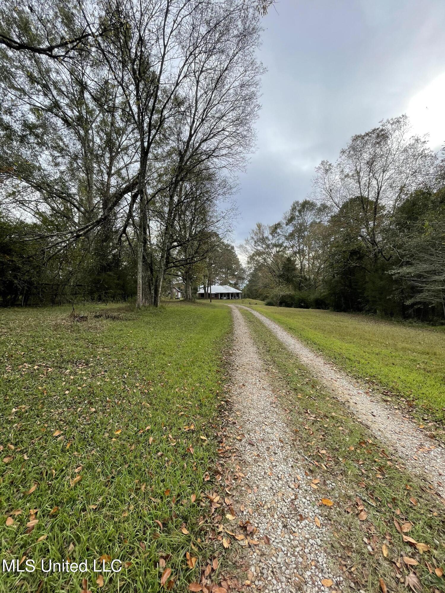 4390 Utah Road Lena, MS 39094 - Photo 14 of 16 IMG_8516