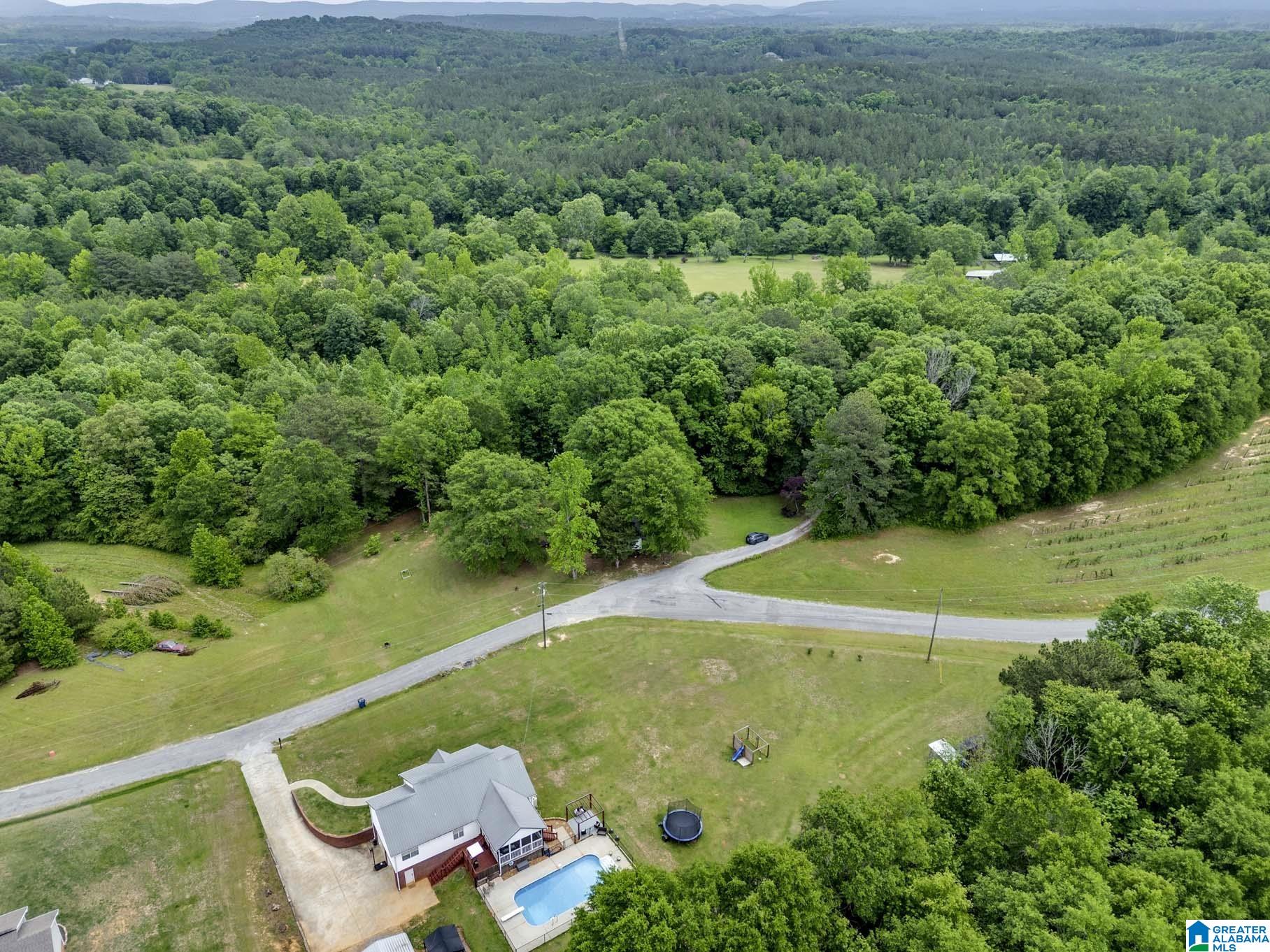 292 Elbert Gallimore Road Hayden, AL 35079 - Photo 49 of 57 Gallery Image 49