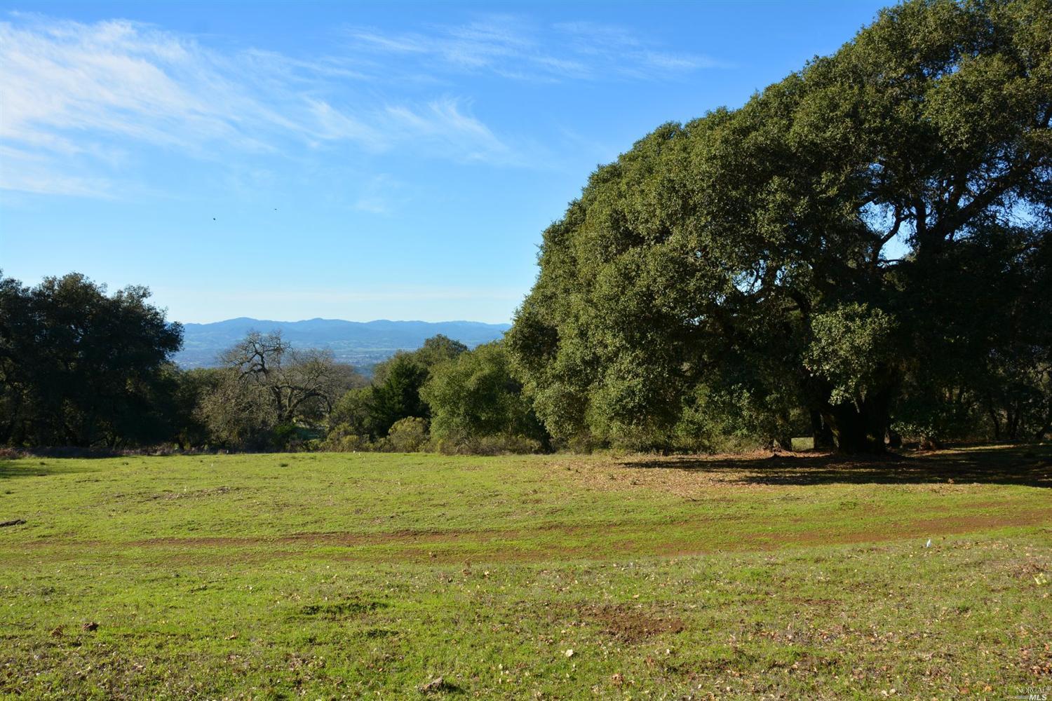 6410 Shiloh Ridge Santa Rosa, CA 95403 - Photo 1 of 1 a view of outdoor space with swimming pool and green space
