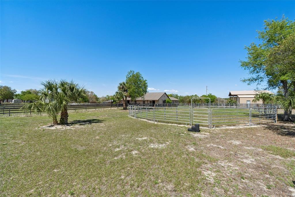 21210 Horse Ranch Road Mount Dora, FL 32757 - Photo 24 of 68