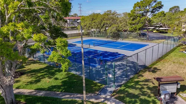 a view of a backyard with plants
