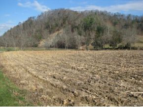 Tbd Green Spring Road Abingdon, VA 24210 - Photo 1 of 7 Photo 1