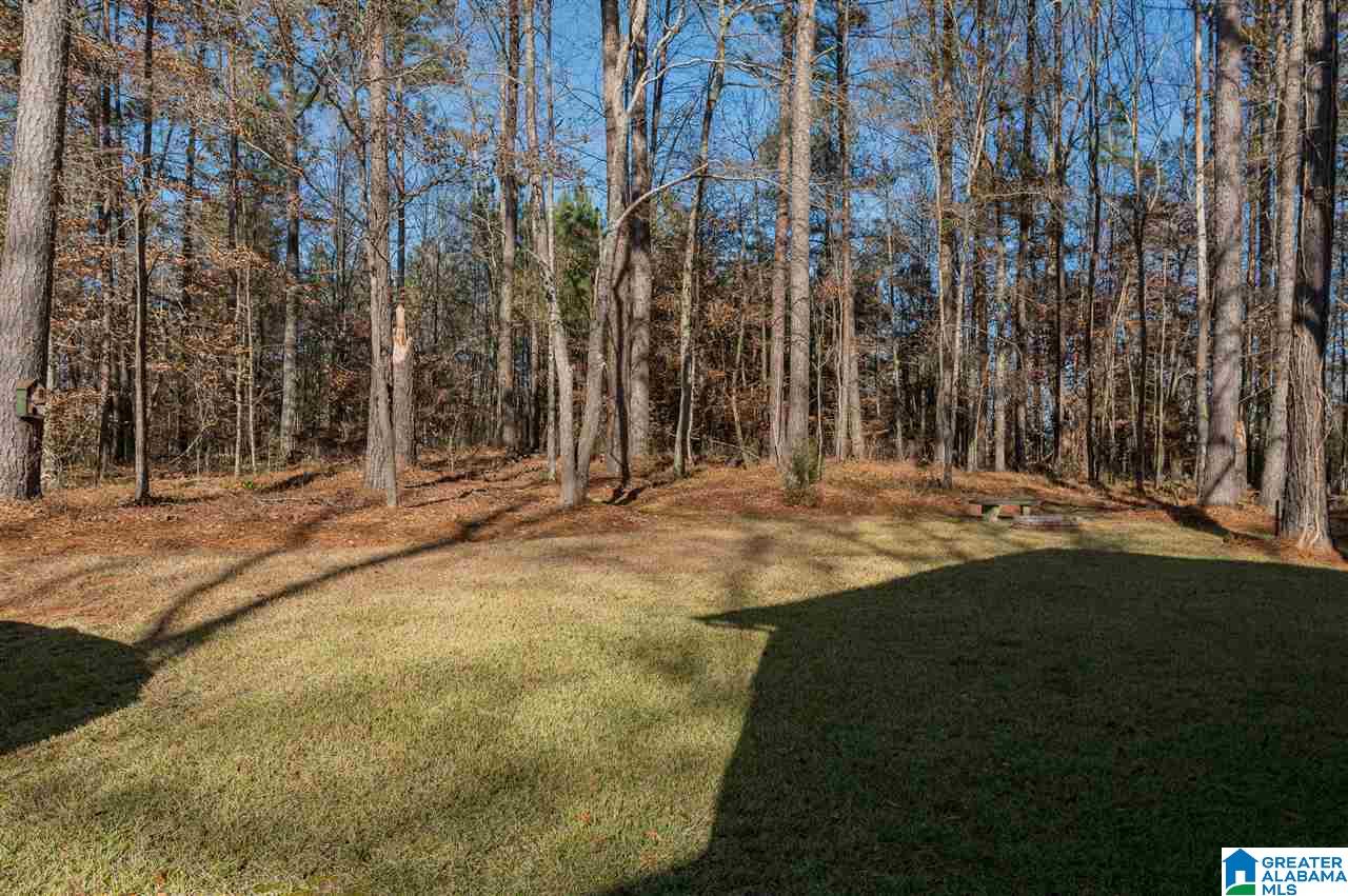 19943 Highway 411 Springville, AL 35146 - Photo 31 of 36