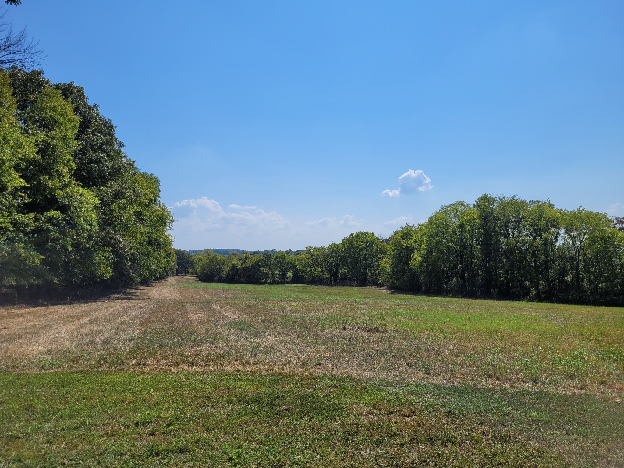 1289 Old Hopewell Road Bethpage, TN 37022 - Photo 38 of 42 Gallery Image 38