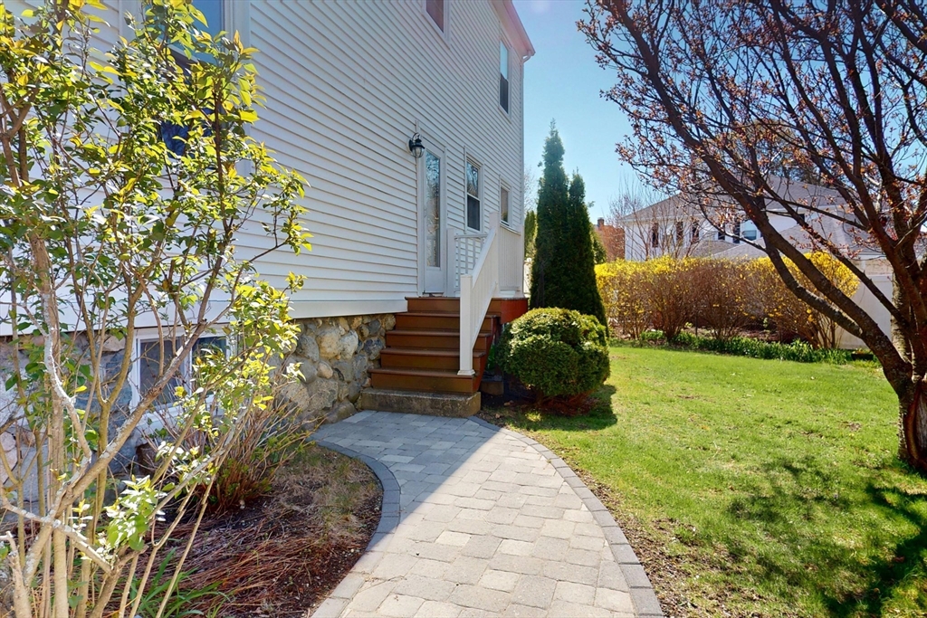 18 Faneuil Road, Unit 18 Waltham, MA 02452 - Photo 3 of 20 a view of a backyard with potted plants and large tree