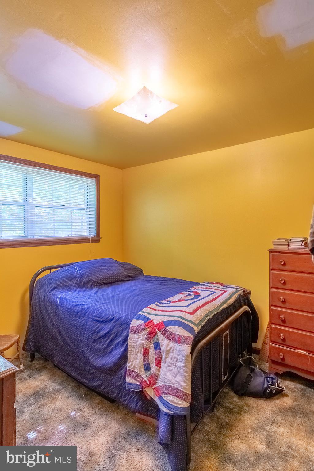 2262 Hanback Road Gordonsville, VA 22942 - Photo 19 of 24 a bedroom with a bed and a night stand