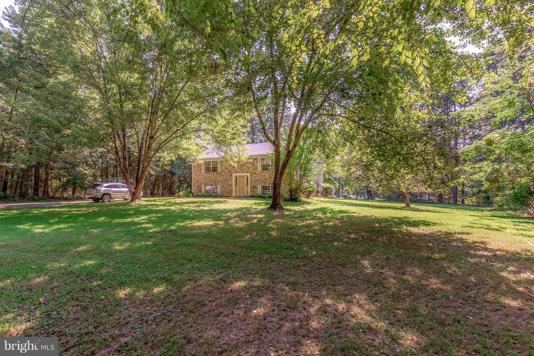 2262 Hanback Road Gordonsville, VA 22942 - Photo 3 of 24 a view of yard with trees